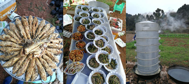 yl23455����(�й�)�ɷ����޹�˾